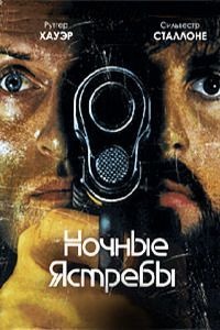   (1981)